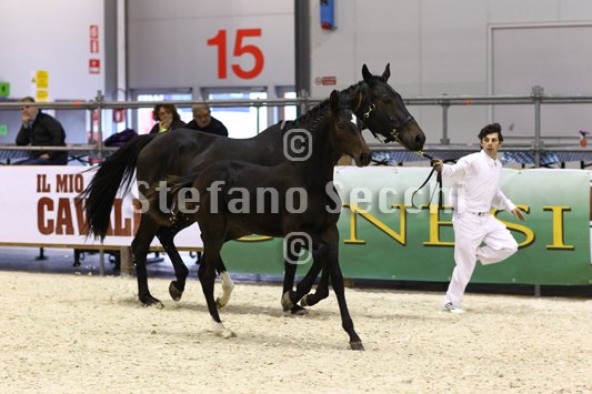 PRINCESS LIESA_MILANO_2010_SS3_7456.jpg